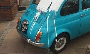 204946 foto