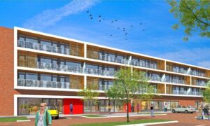 205656 Oogstplein
