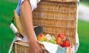 207477 picknick 1