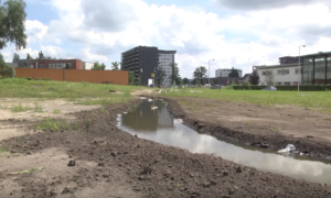 209284 cromhoffsbeek