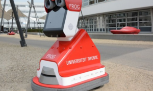 20962 FROG