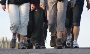 210685 wandeling