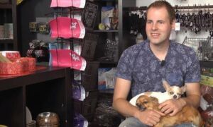 214116 Chihuahua winkel