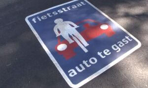 217919 Autos te gast