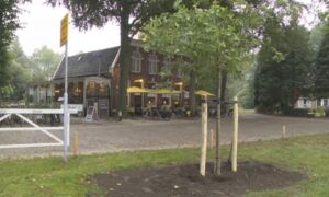 222496 Sprakeplein