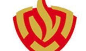 222762 brandweer logo