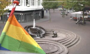 223217 regenboogvlag 1