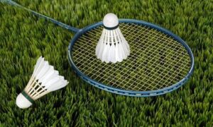223461 badminton