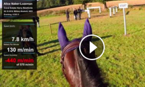 224246 Schermafbeelding 2016 10 10 om 191123