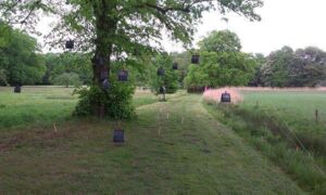 225846 landschap