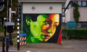 226230 image1