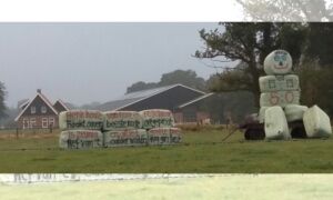 226279 image 6554788