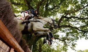 22736 Eventing 1 648x387