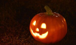 227529 Halloween 1