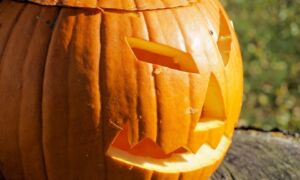 227539 halloween 2