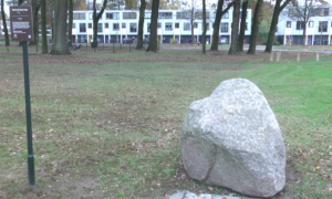 232666 loaksteen
