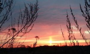 235157 image 6716598