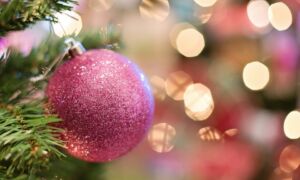 236459 Kerst