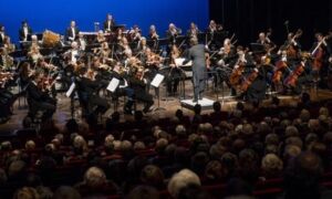 237594 orkest 11