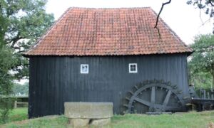 239679 IMG 0675 oele watermolen1