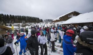 241994 image 6833550