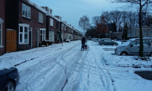 242060 image 23