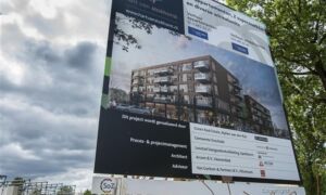 242556 image 6839124
