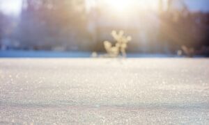 243243 240996 Winter 1