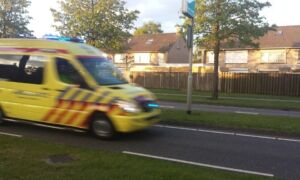 243708 image 4898702