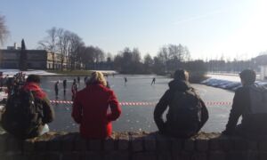 244082 image 6857850