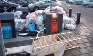 245321 image 6866982 1