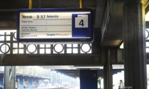 246049 image 6882882