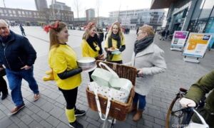 246120 image 6883164