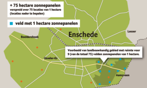 246195 image 6557785