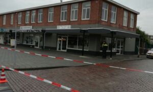 246599 image 6879157 3