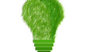 246640 green 1966408 640
