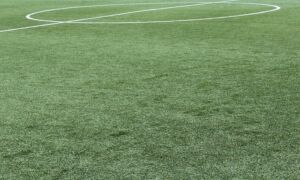 248094 synthetic grass 1436614 640
