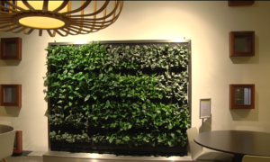 248206 Plantenmuur