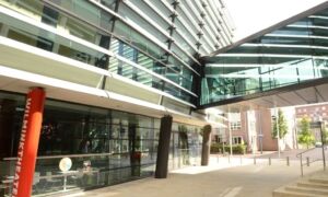 248617 image 6912599