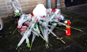 249583 image 6921210