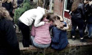 250056 image 6923211
