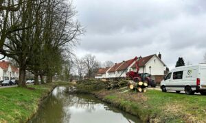 250228 bomenkap woolderbeekweg4 1 TWENTE