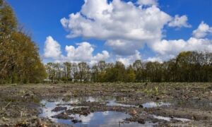 250530 image 6931911