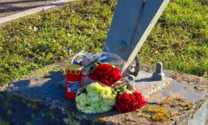 251120 bermmonument News united DENNIS BAKKER