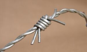 25218 prikkeldraadzilver