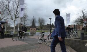 252266 image 6941830