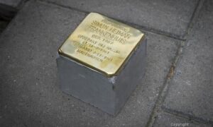 252455 image 6943974