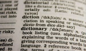 252739 dictionary 390055 1920