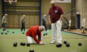 254973 afbeelding bowling