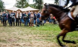 255748 boekelo 1